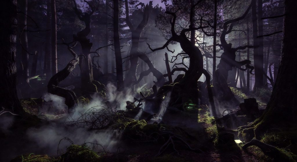 Cursed Forests: Black Forest